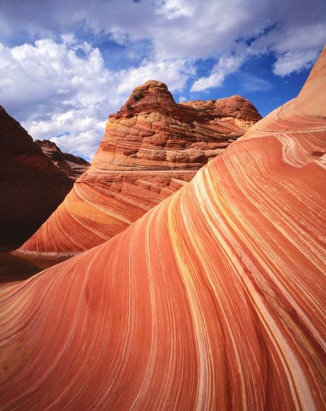Utah, Paria Canyon The Wave formation, sandstone